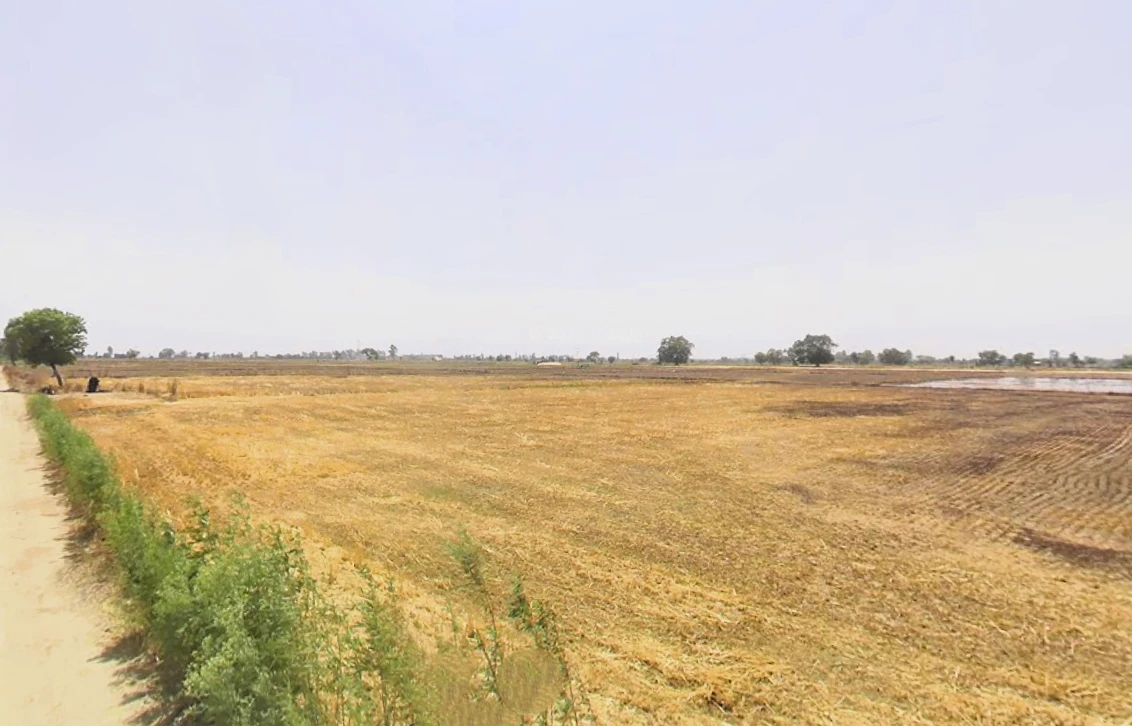 Pirthla, Haryana, India