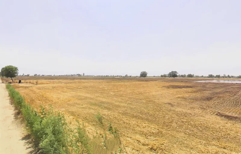 Pirthla, Haryana, India preview 3