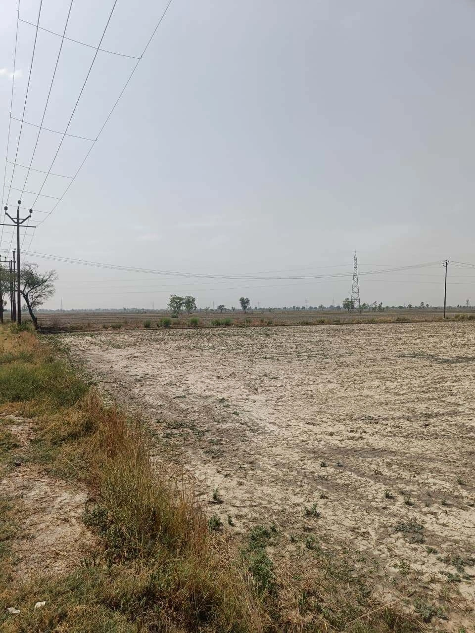 Aou, Rajasthan, India