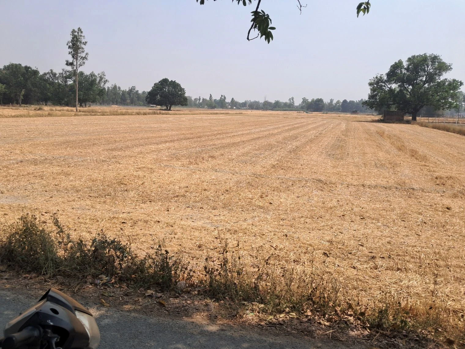 Q5MF+WP6, Kosi Parikrama Rd, Amanigunj, Faizabad, Uttar Pradesh 224001, India