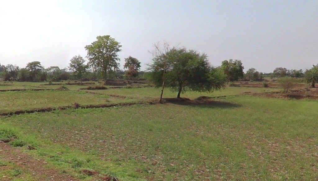 Jarauda, Chhattisgarh, India