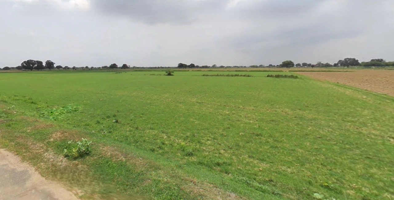 Barnagar, Madhya Pradesh 456771, India