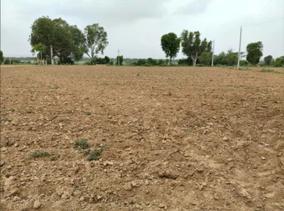 Dakor, Gujarat 388225, India preview 2