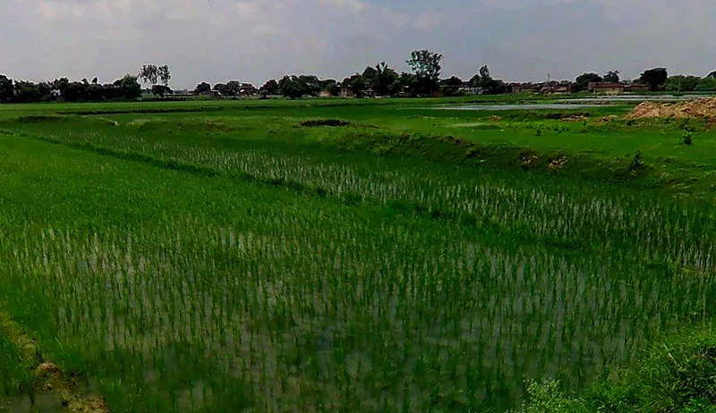 Bhadra, Chhattisgarh 493332, India preview 3