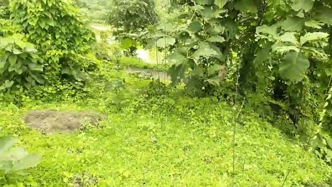 M6FH+4QR, Palghar, Shele, Maharashtra 421303, India