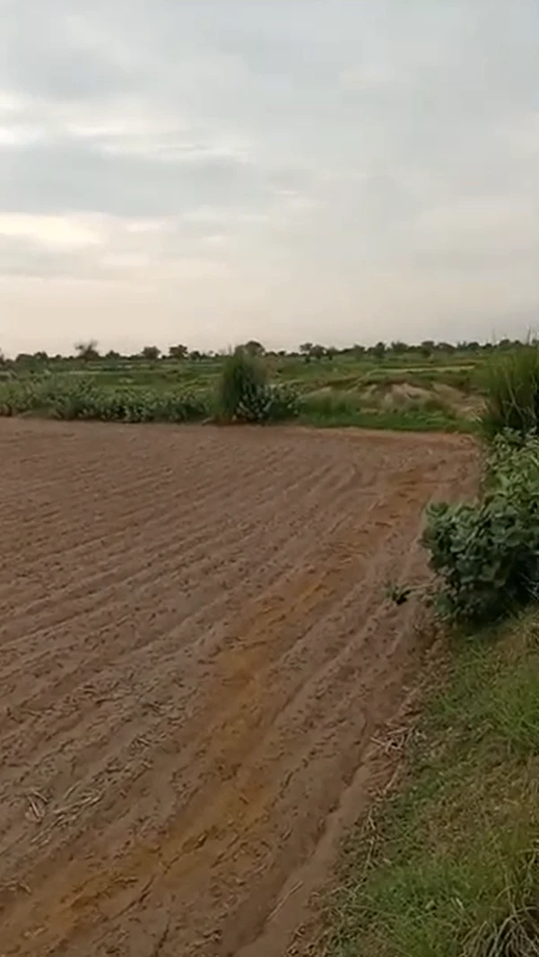 FQ47+H7W, Alwar, Bamboli, Rajasthan, India