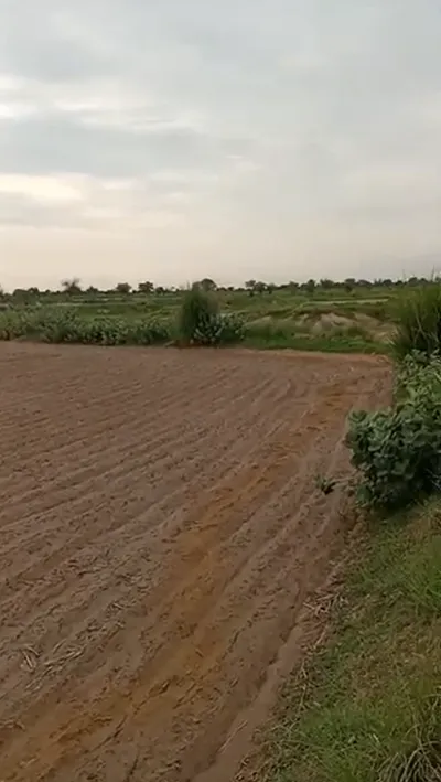 FQ47+H7W, Alwar, Bamboli, Rajasthan, India preview 2
