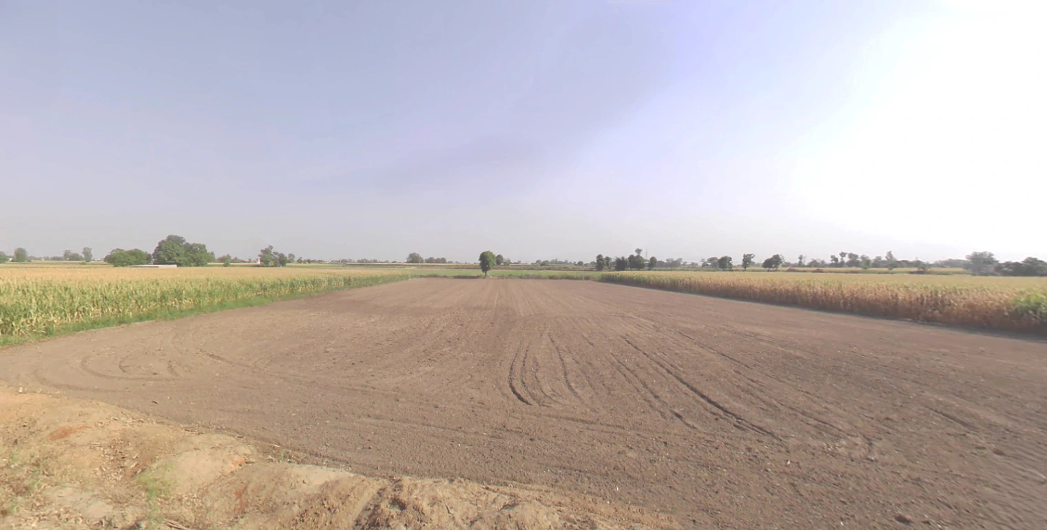 Hasanpur, Uttarakhand 247662, India