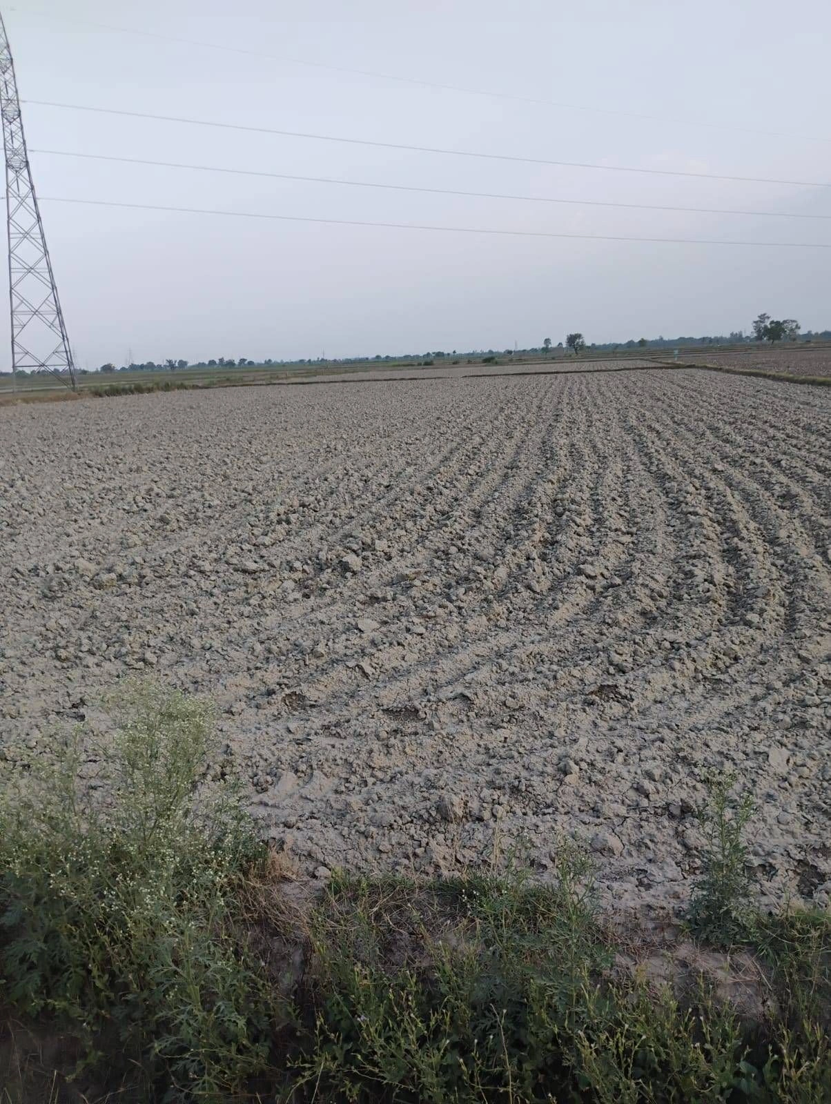 Sankhi, Uttar Pradesh 281401, India
