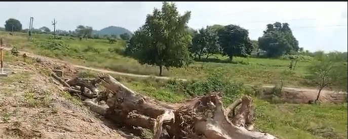 Saletikra, Jharsuguda, Odisha 768204, India