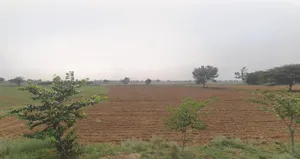 Barshal, West Bengal, India preview 3