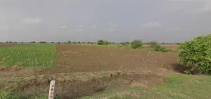 Ujjain, Madhya Pradesh, India preview 3