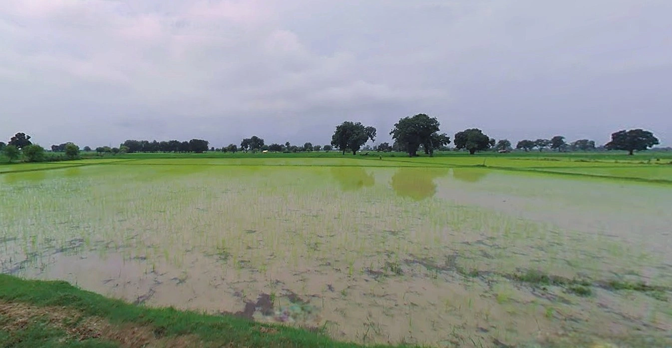 Jewar, Uttar Pradesh 203135, India