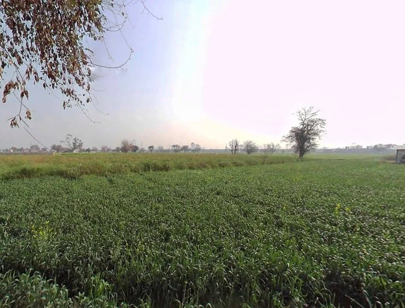 FRJW+9FJ, Seetal, Rajasthan 301021, India preview 2