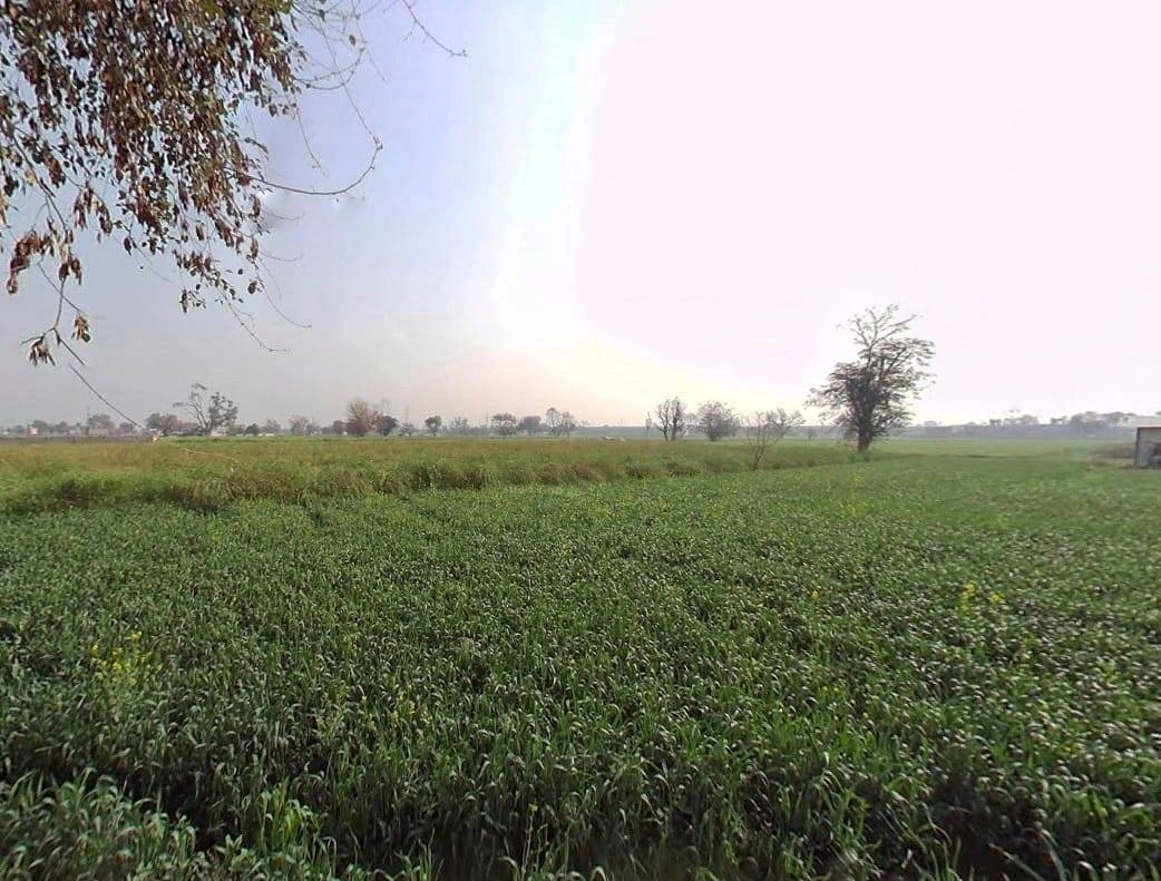 FRJW+9FJ, Seetal, Rajasthan 301021, India