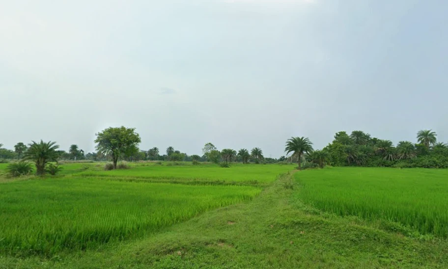 Kashipur, West Bengal 723132, India