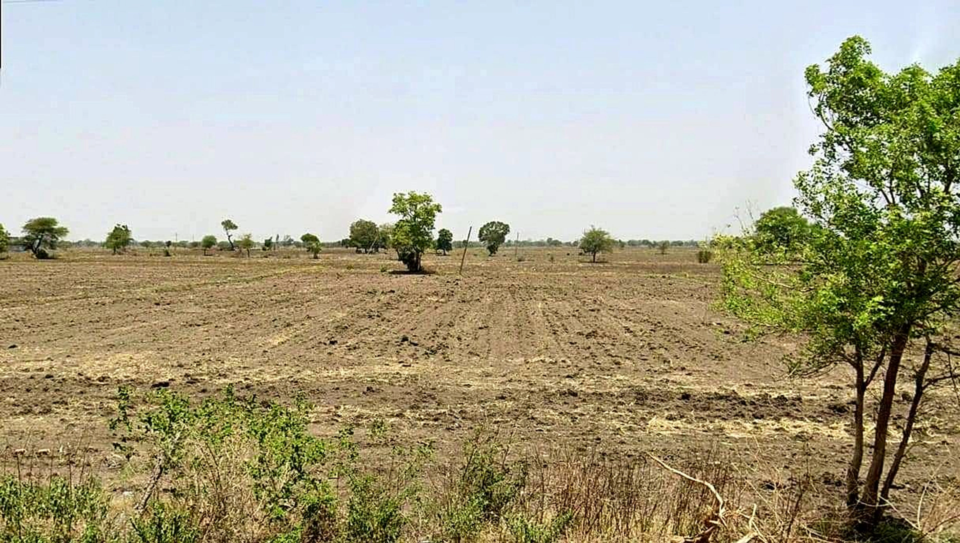 Susner, Madhya Pradesh 465447, India