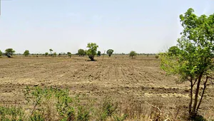 Susner, Madhya Pradesh 465447, India preview 3