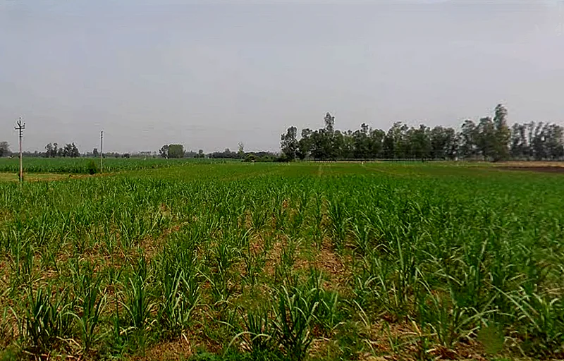 Kithaur, Uttar Pradesh 250104, India preview 3
