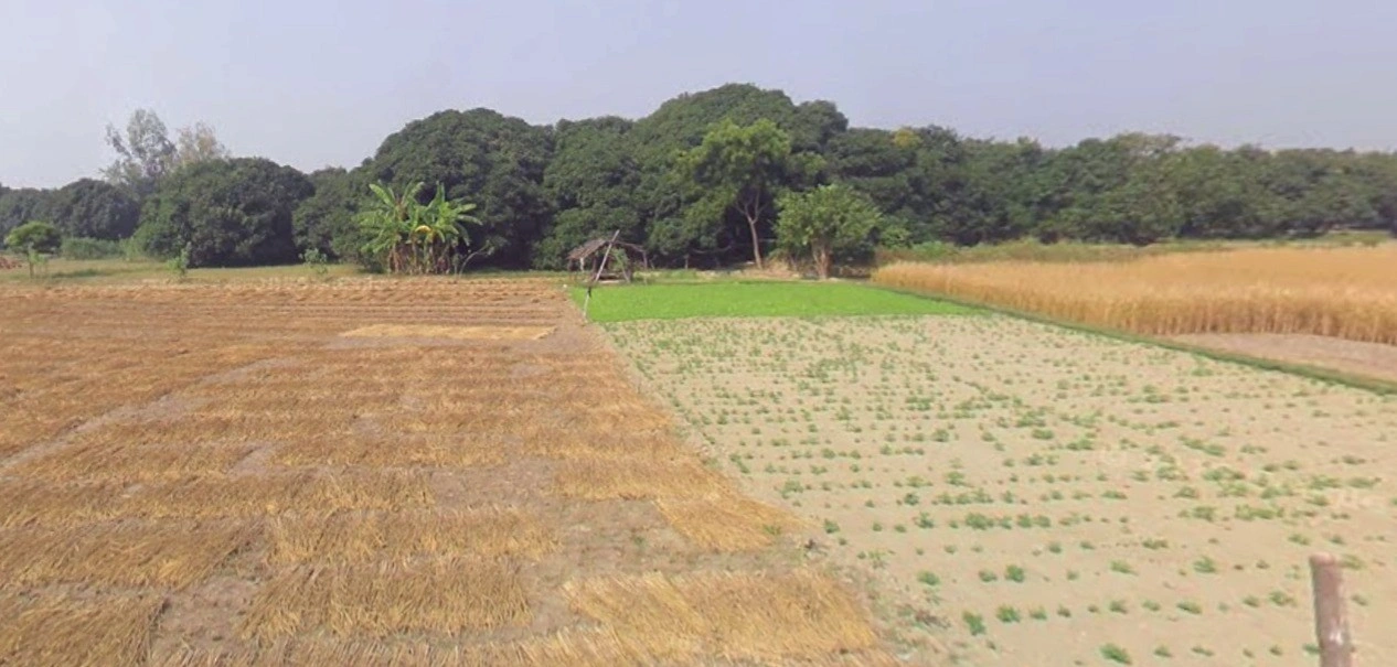 Bandori, Madhya Pradesh 462042, India