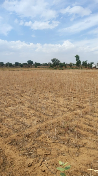 Thakurdwara, Uttar Pradesh 244601, India preview 5