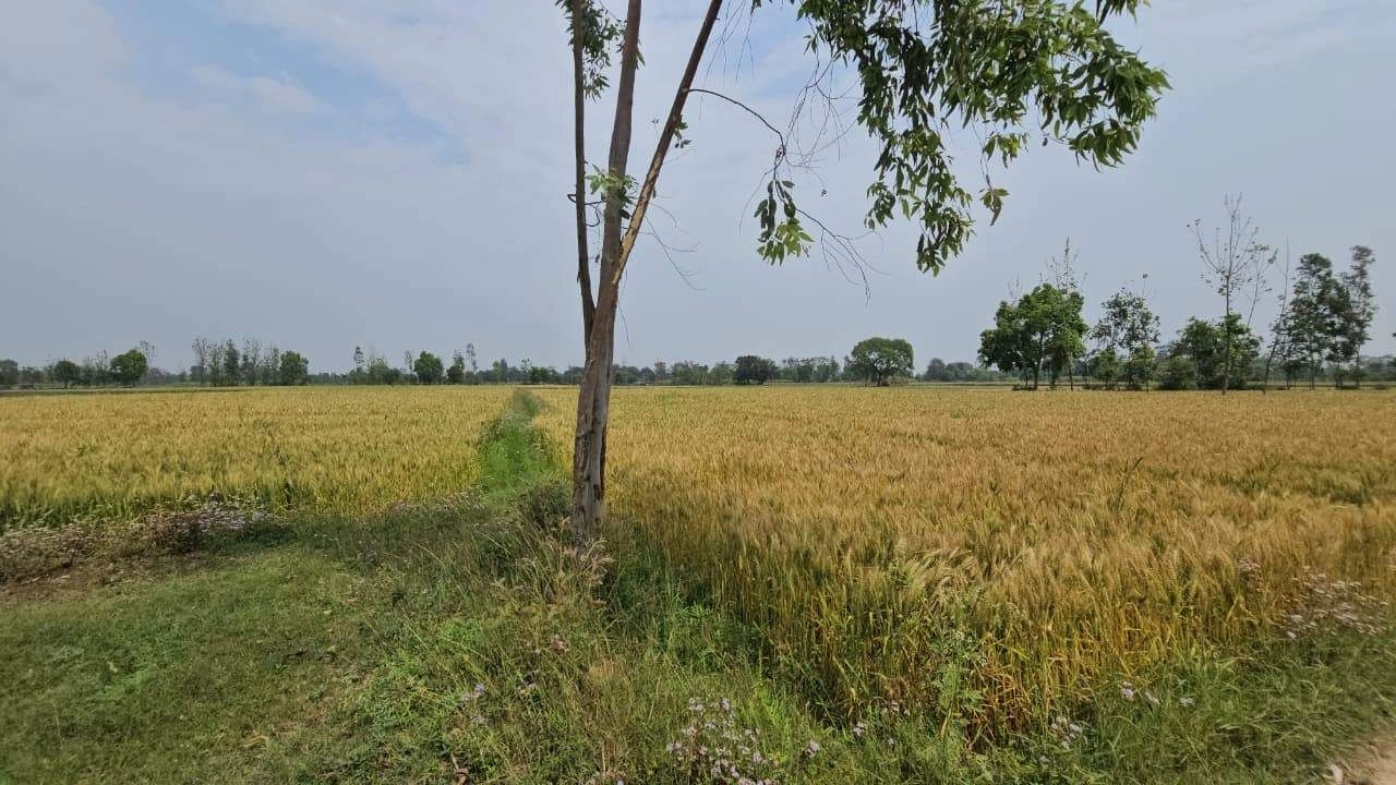J759+2G5, Bithoor, Uttar Pradesh 209217, India