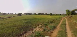 Kamrup, Assam, India preview 3