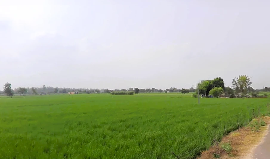 Sirsa, Haryana, India