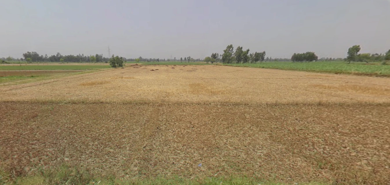 Dhampur, Uttar Pradesh 246761, India