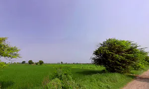 Kurlan, Haryana 132046, India preview 3