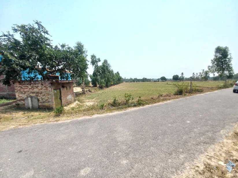 Barnagar, Madhya Pradesh 456771, India