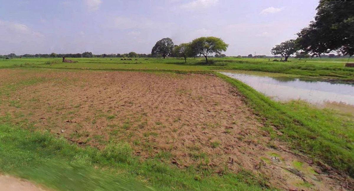 Panipat, Haryana, India