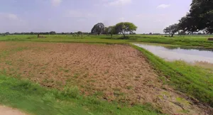 Panipat, Haryana, India preview 3