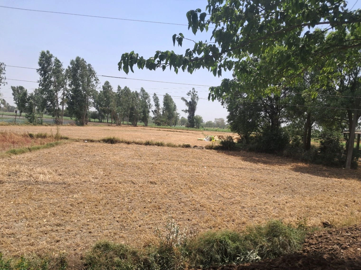 P3R6+7F Hunsepur, Uttar Pradesh, India