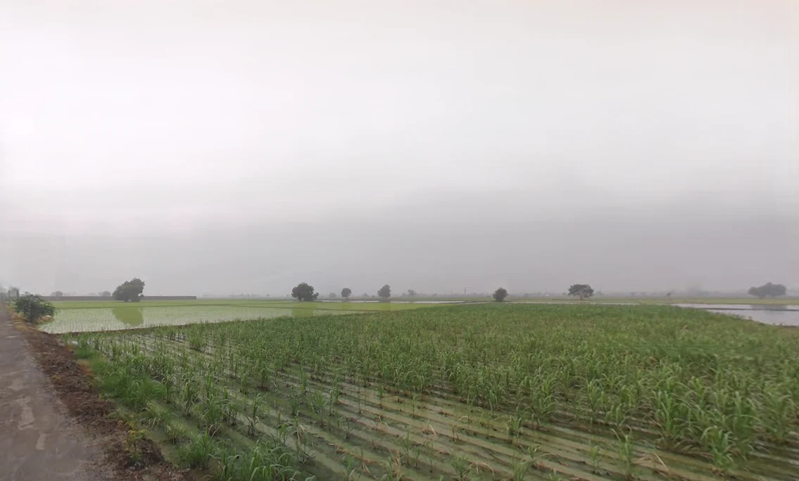 Balaana, Haryana 132145, India