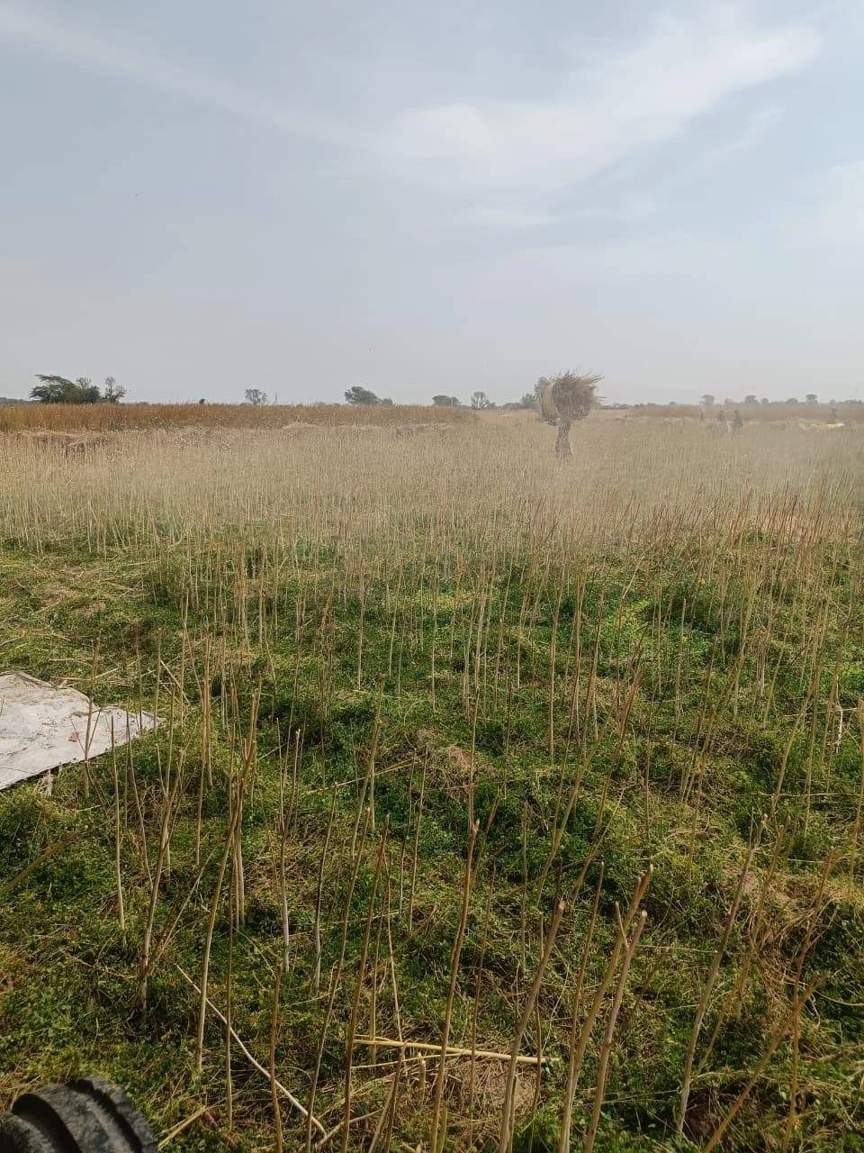 Gharwari, Rajasthan 321201, India