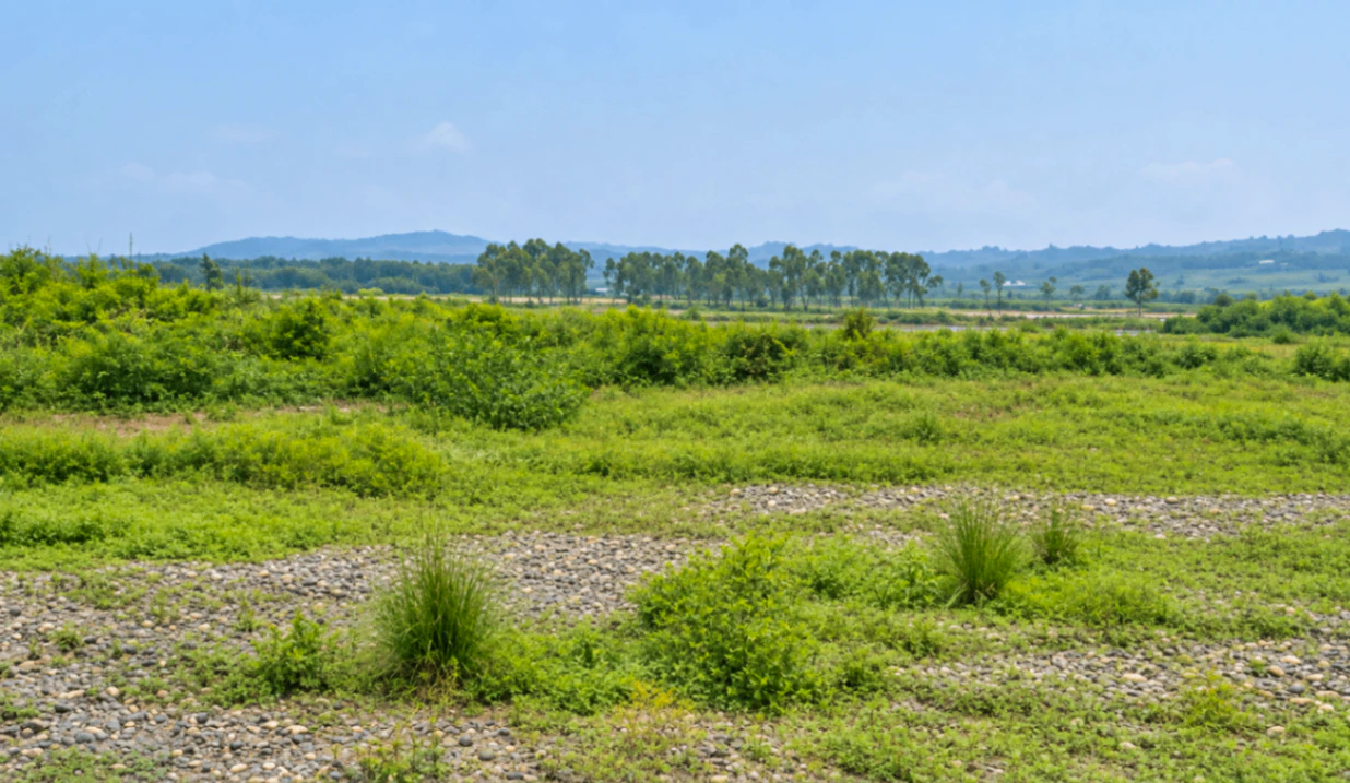 8HPX+WV4, Saharanpur, Rehna, Uttar Pradesh, India
