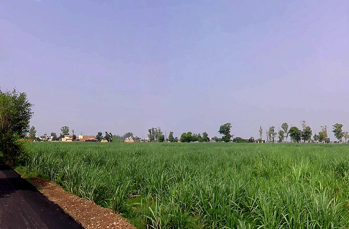 Lukhi, Haryana 136119, India