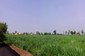 Lukhi, Haryana 136119, India preview 3