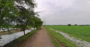 Rawatsar, Rajasthan 335524, India preview 3