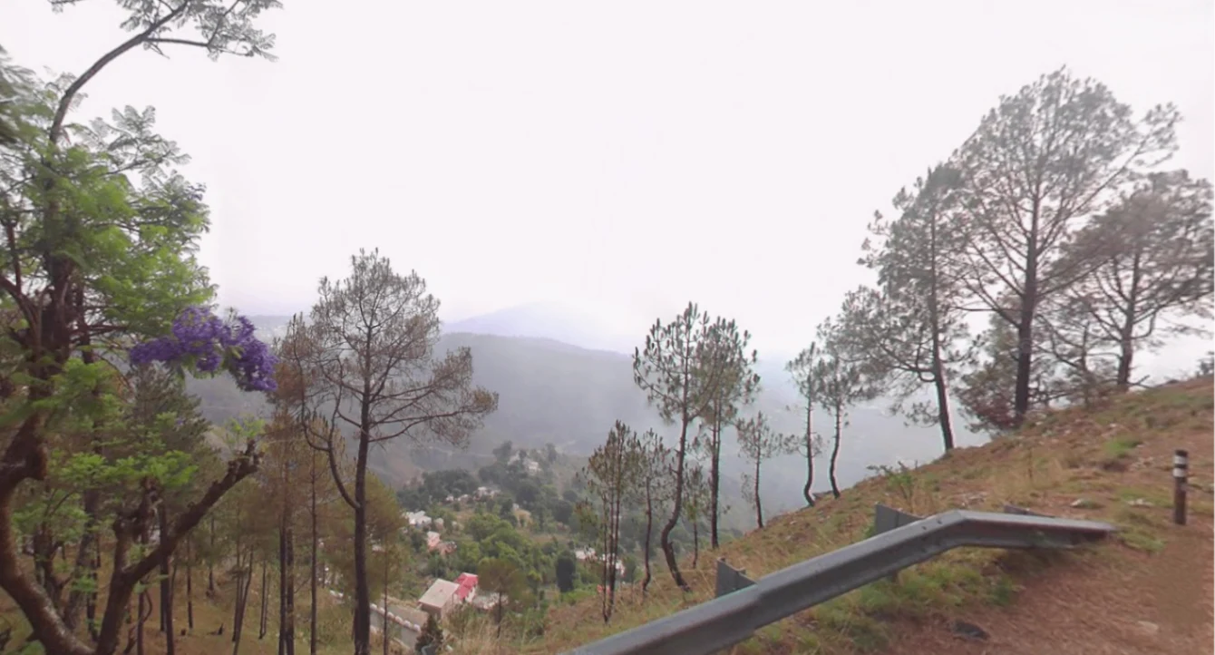 Jalna, Uttarakhand 263625, India preview 2