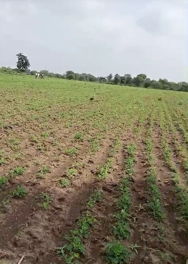 Jhajra, Dehradun, Uttarakhand 248015, India