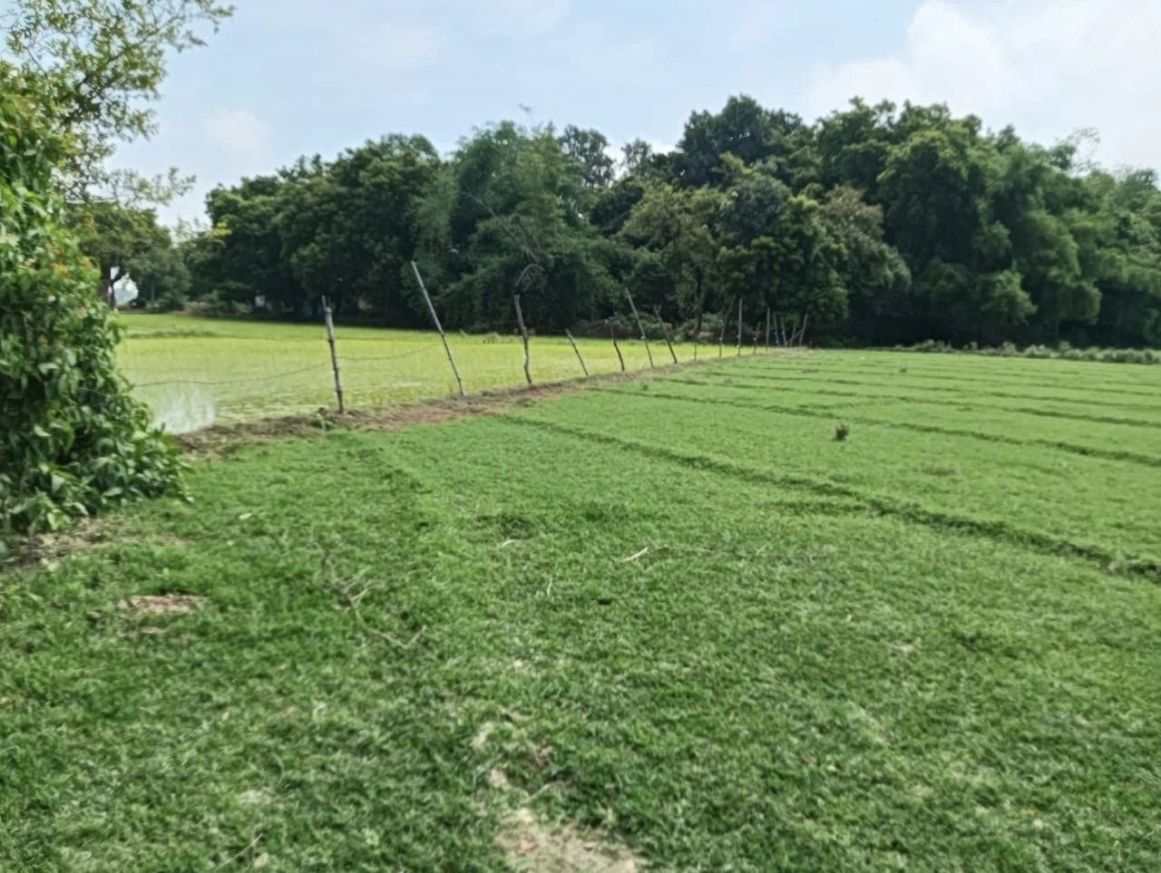 H2VV+2HR, Lucknow, Dedhari, Uttar Pradesh 226302, India
