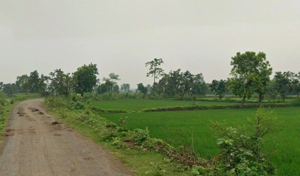 Kachhar, Chhattisgarh 495009, India