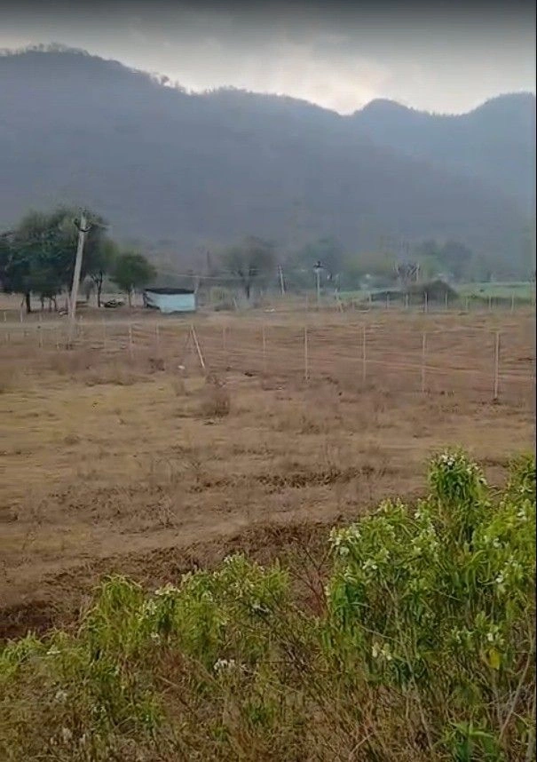 PJ7R+WW Jhadoli, Rajasthan, India