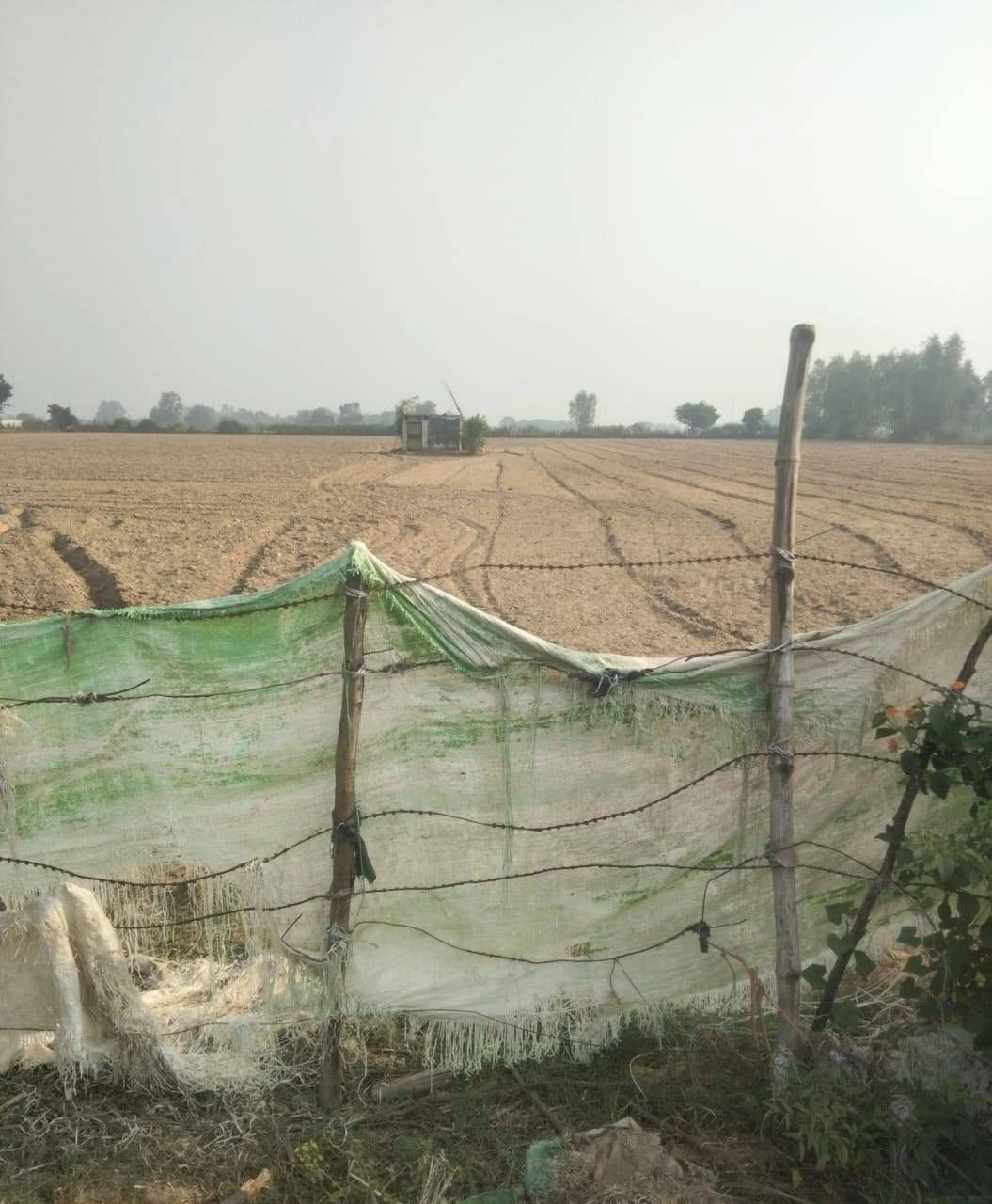 H8F7+HW2, Unnao, Agehra, Uttar Pradesh, India
