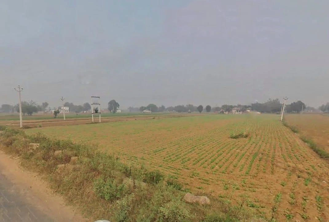 Jairoli, Rajasthan, India