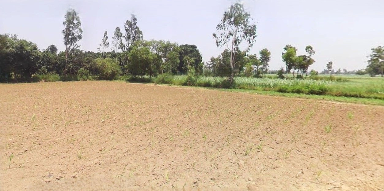 Jansath, Uttar Pradesh 251314, India