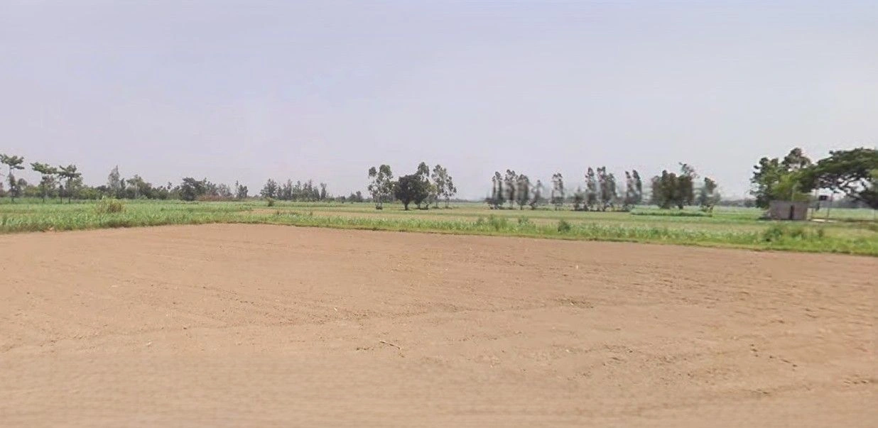 Jansath, Uttar Pradesh 251314, India