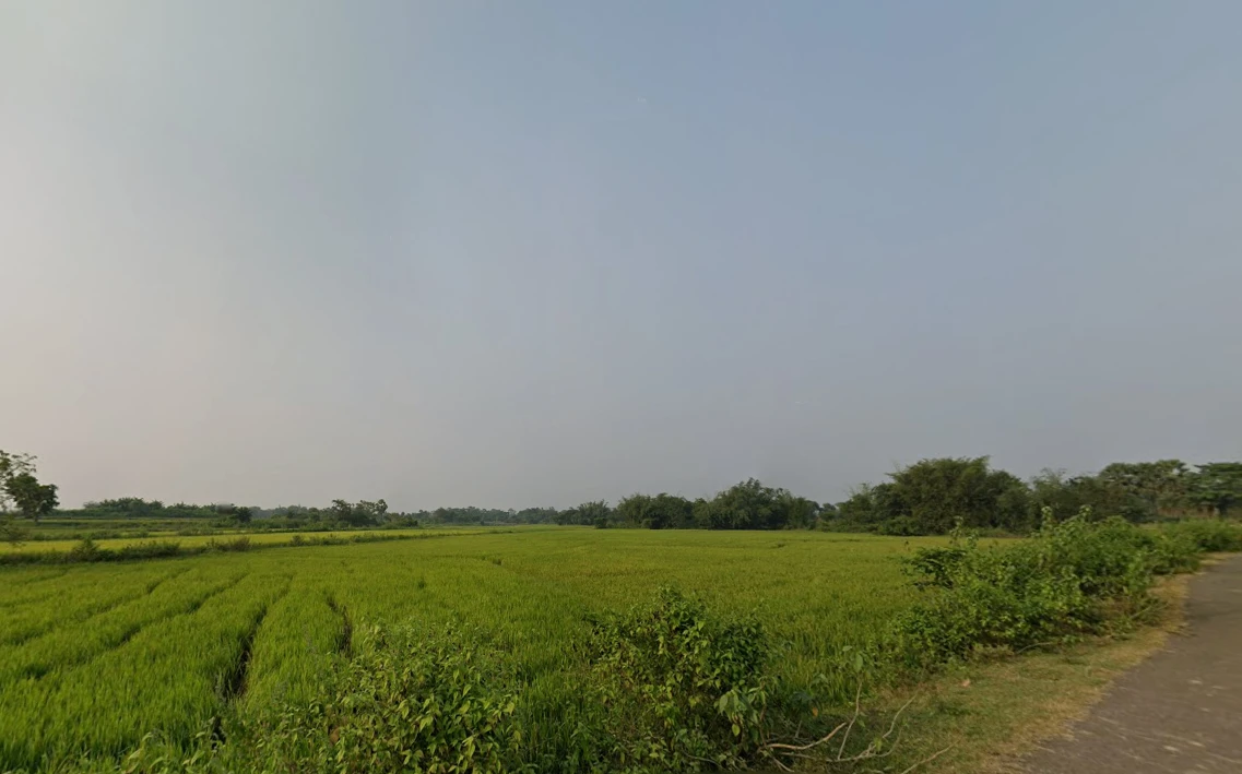 Nikunjapur, West Bengal 722144, India